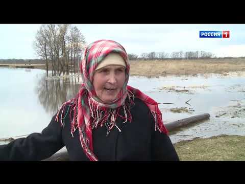Видео: Народный фольклорный ансамбль «Олык сем» в программе передачи «Пошкудем»
