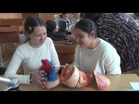 Видео: Материально-техническая база КГУ "Школа-лицей №1"