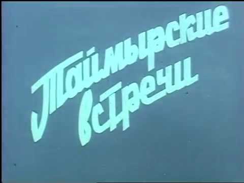 Видео: Таймырские встречи