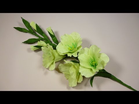 Видео: Гладиолусы из бумаги.  Мастер-класс. Цветы из гофрированной бумаги.