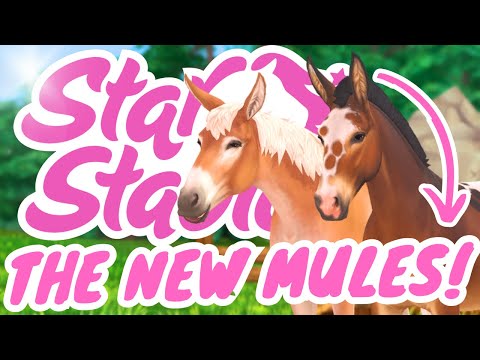 Видео: Покупаю новый MULE! 🌟 Моё честное мнение 🌟 Star Stable Online