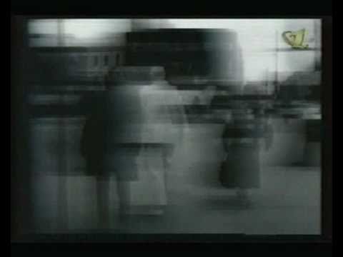 Видео: Репортажи о фестивале "Стык" и альтернативном кино