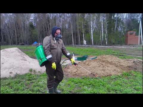 Видео: Уничтожения борщевика на участке. Опрыскиватель садовый аккумуляторный классная вещь.
