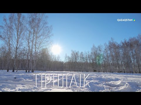 Видео: Жапандағы жалғыз үй. Марал шаруашылығы І Тіршілік