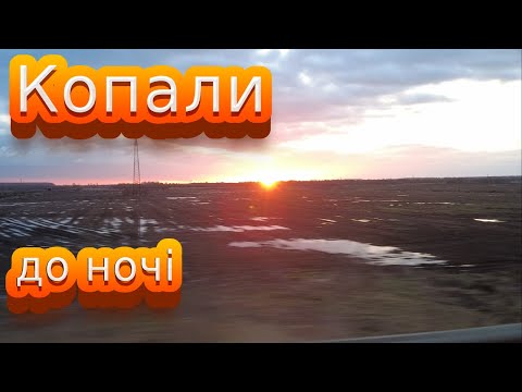 Видео: Копали до ночі - що ж таке знайшли?