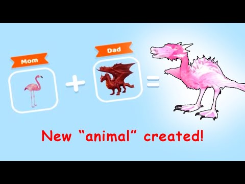 Видео: Я создал редчайшую эволюцию, которая не должна существовать