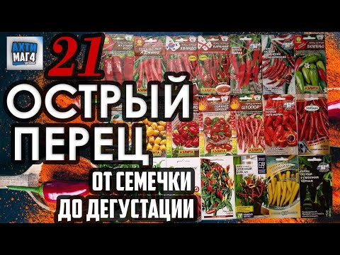 Видео: 21 острый перец / от семечки до дегустации #1