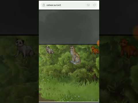 Видео: НОВОСТИ | CatWar