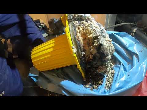 Видео: Kempinger 521. Меня больше интересует затопленная ванная комната, но я не могу иметь всё.