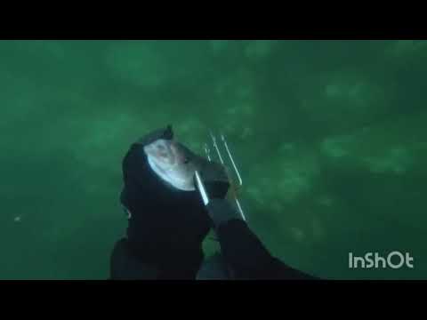 Видео: ТЕРПУГ, ОХОТА ОСЕНЬ 2022