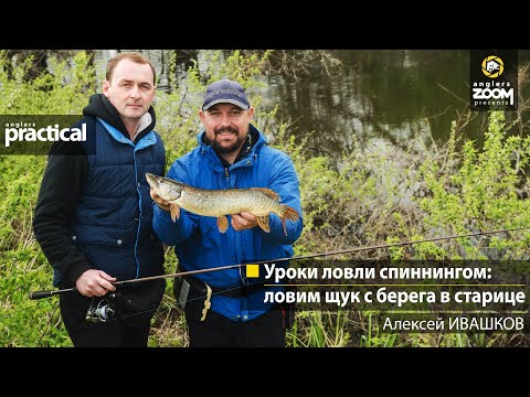 Видео: Уроки ловли спиннингом: ловим щук с берега в старице. Алексей Ивашков. Anglers Practical