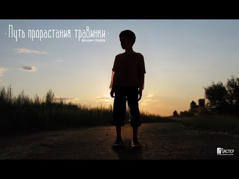 Видео: Путь прорастания травинки.