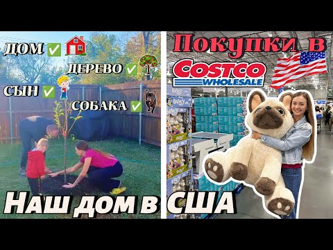 Видео: 🇺🇸🌳 Наше первое дерево в новом доме + классные покупки в Costco!