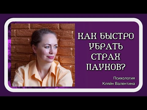 Видео: Как быстро убрать страх пауков?