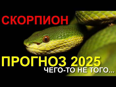 Видео: ПРОГНОЗ ДЛЯ СКОРПИОНА НА 2025 ГОД 🤔