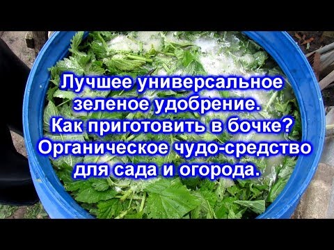 Видео: Лучшее универсальное зеленое удобрение. Органическое чудо-средство для сада и огорода.