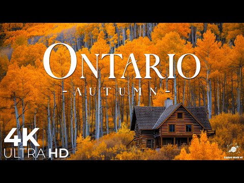 Видео: Онтарио осенью 4K — золотые леса, тихие озера и волшебство осени
