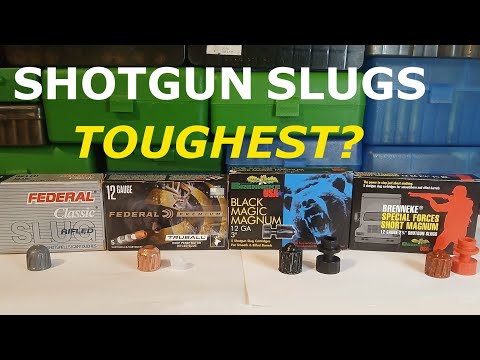 Видео: ПУЛИ ДЛЯ ДРОБОВИКА НА МЕДВЕДЕЙ: САМЫЕ ТВЕРДЫЕ И ЖЕСТКИЕ?