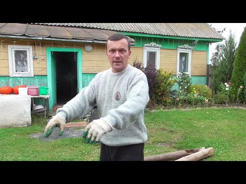 Видео: ЖИВЁМ в ГЛУХОЙ ДЕРЕВНЕ БЕЛАРУСИ на Краю