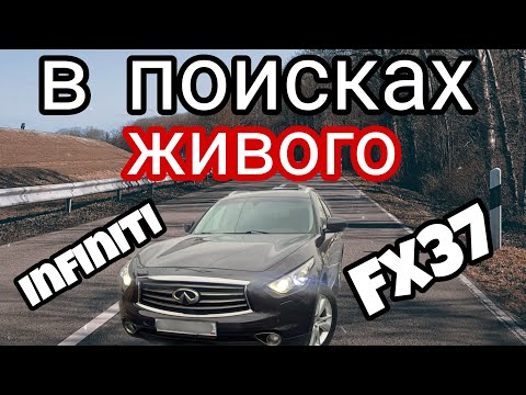 Видео: Автоподбор Москва: в поисках живого Infiniti FX37