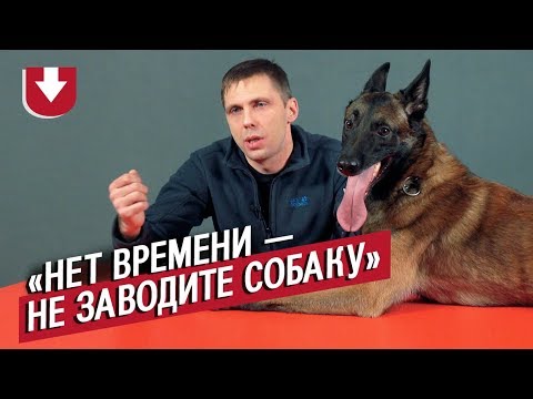 Видео: Кинологи (САМЫЙ МИЛЫЙ ВЫПУСК) | Неудобные вопросы