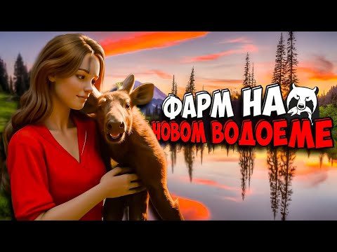 Видео: НОВЫЙ ВОДОЕМ ОТЛИЧНЫЙ ФАРМ ДЛЯ НОВИЧКА! РУССКАЯ РЫБАЛКА 4  ФАРМ ПРОКАЧКА С НУЛЯ №17