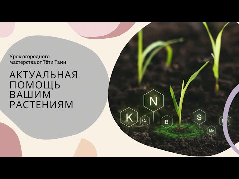 Видео: 878. Напоминалочка. МагБор для всех.