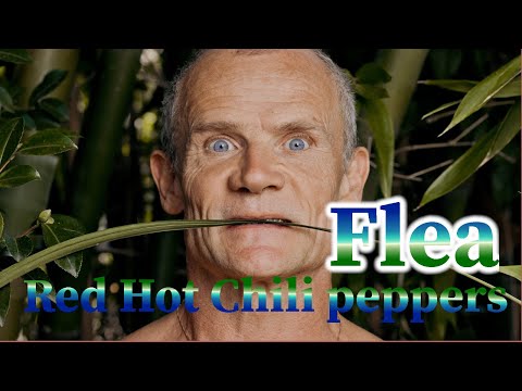 Видео: Flea басист Red hot chili peppers. Краткая биография, факты, творчество легендарного бас-гитариста.