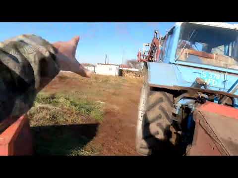 Видео: Новая подкачка на МТЗ, загуляла корова пустил быка.