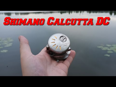 Видео: Shimano Calcutta 201 DC - старый друг лучше новых двух. Обзор