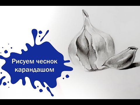 Видео: Рисуем головку чеснока простым карандашом!
