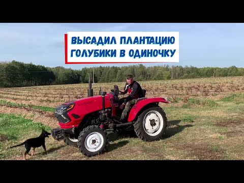 Видео: Мини техника и 7 Га голубики