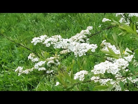 Видео: какие события будут происходить Таро клуб Иры К в прямом эфире!