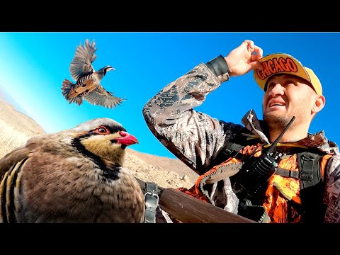 Видео: УШУНДАЙ ДА БОЛОТ ЭКЕН / ЫСЫК-КӨЛ / ТОҢ РАЙОНУ