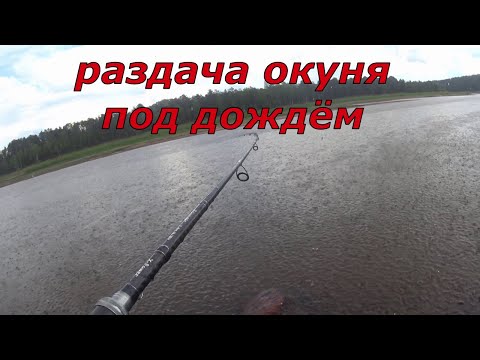 Видео: Дикий жор окуня. Джиг не успевает падать на дно.