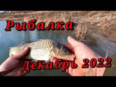 Видео: Рыбалка на поплавок в декабре.Дикие атаки карасей на удочку.
