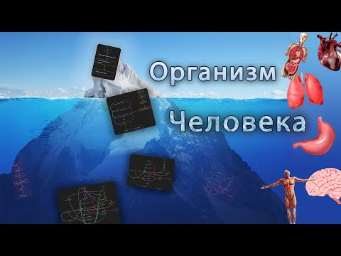 Видео: АЙСБЕРГ ОРГАНИЗМА ЧЕЛОВЕКА | Системный разбор организма человека