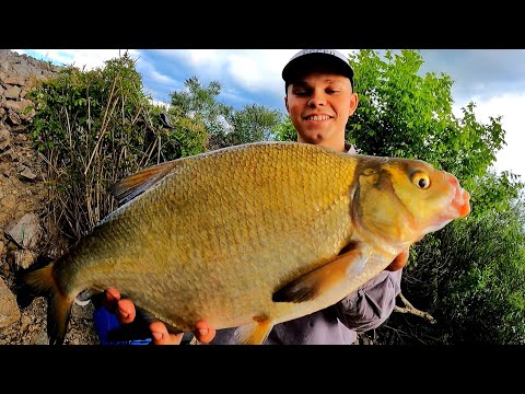 Видео: ЛОВЛЯ ЛЕЩА НА ФИДЕР В ИЮНЕ 2022! Рыбалка на ЛЕЩА в ИЮНЕ на РЕКЕ ДНЕПР! Как ловить фидером на реке?