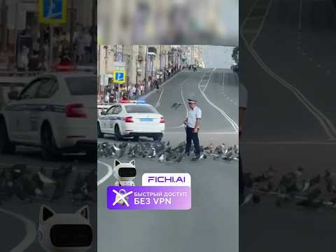 Видео: Гаишник среди голубей на дороге