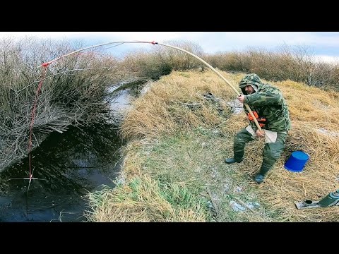 Видео: ТОННЫ рыбы в трубе или рыбалка на паук. Рыбалка на секретной трубе. Рыбалка 2025. Кастинговая сеть.