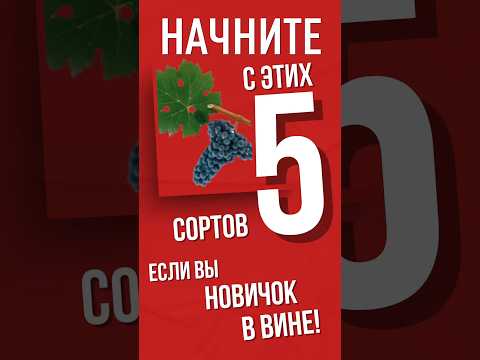 Видео: ПРОБУЙТЕ ТОЛЬКО ЭТИ СОРТА, ЕСЛИ ВЫ НОВИЧОК  #vitispro #wine #shorts