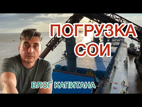 Видео: ПОГРУЗКА СОИ
