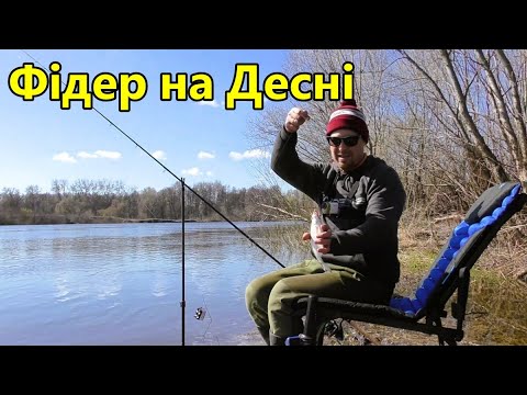 Видео: Хід Риби на Десні у Квітні. Нове Місце Не Підвело
