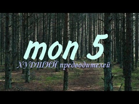 Видео: Топ 5 ХУДШИХ предводителей / Коты воители / Белолапая WC