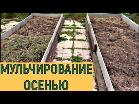 Видео: Мульчирование грядок осенью