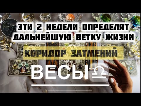 Видео: Весы ♎️ 8 - 21 сентября 2025! Таро и Астропрогноз на коридор затмений 