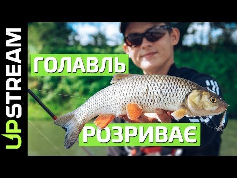 Видео: Роздача ГОЛАВЛЯ. Голавль на Дністрі. Рибалка на голавля Назар Боженко. Ловля на Дністрі | UPSTREAM