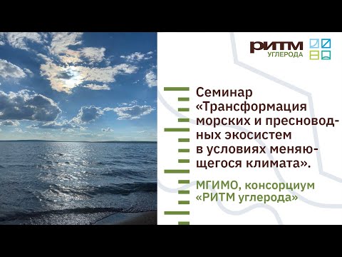 Видео: Семинар «Трансформация морских и пресноводных экосистем в условиях меняющегося климата»