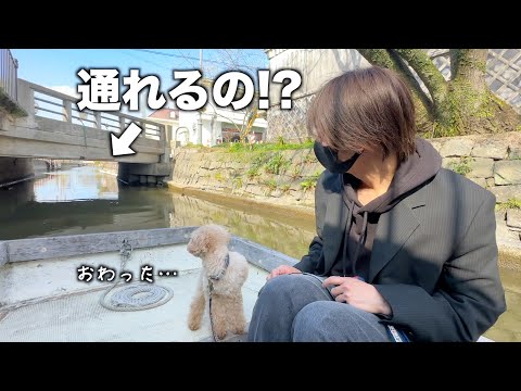 Видео: Вот что случилось с моей собакой / Первый раз спускаюсь по реке