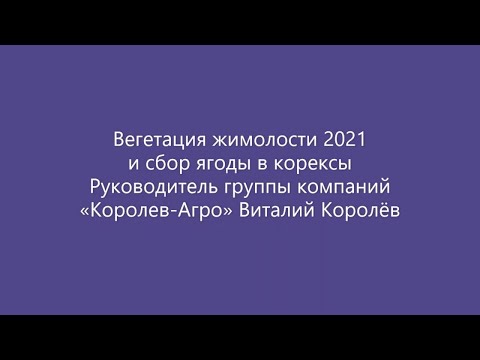 Видео: Вегетация жимолости 2021, сбор ягоды в корексы